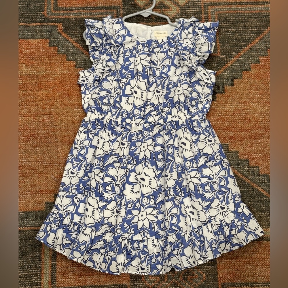 JCrew Crew Cuts Dress
